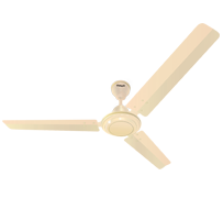 Cyclone Eco Ceiling Fan