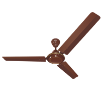 Cyclone Eco Momentum Ceiling Fan